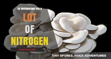 Do Mushrooms Require High Nitrogen Levels for Growth and Cultivation?
