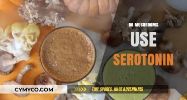 Do Mushrooms Use Serotonin? Unveiling the Fungal Brain Connection