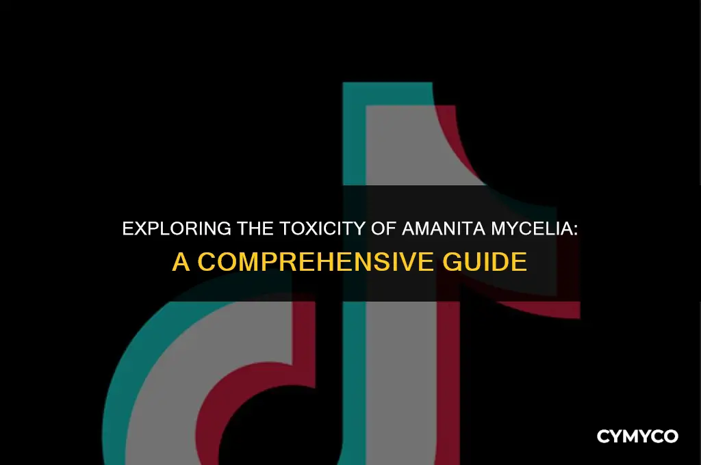 do mycelia of amanita soecies toxic