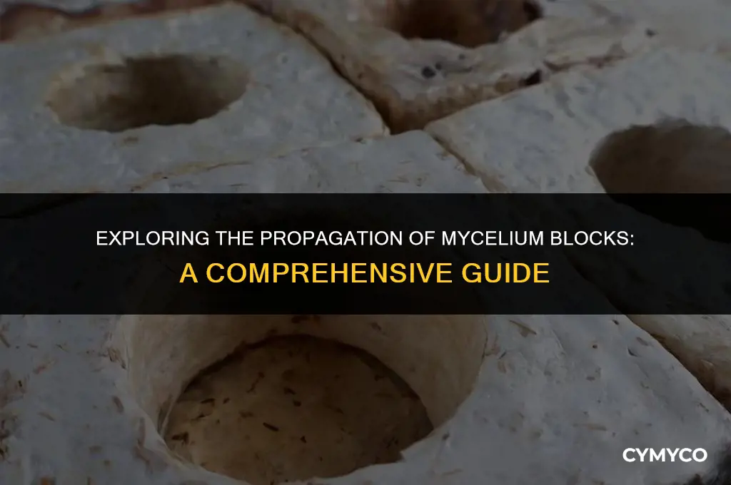 do mycelium blocks spread