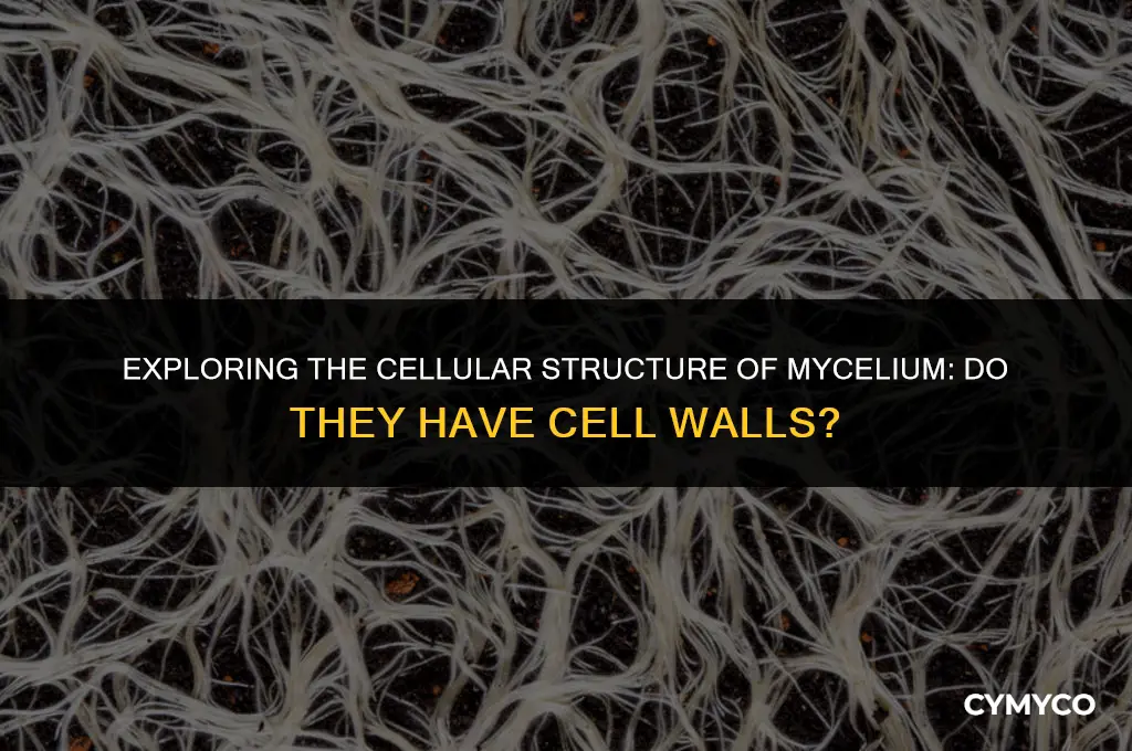 do mycelium have cell walls