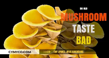 Exploring the Flavor of Aged Mushrooms: A Culinary Adventure