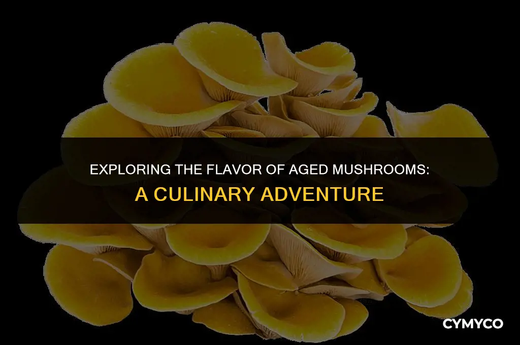 do old mushrooms taste bad