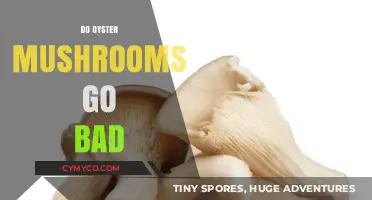 Freshness Matters: A Guide to Oyster Mushroom Shelf Life