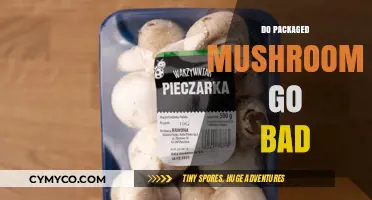 The Shelf Life of Packaged Mushrooms: A Comprehensive Guide