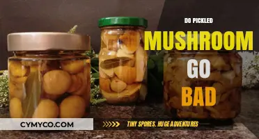 Exploring the Shelf Life of Pickled Mushrooms: Do They Spoil?