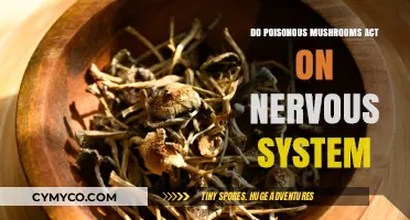 Exploring the Neurological Effects of Poisonous Mushrooms: A Comprehensive Guide