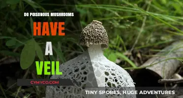 Unveiling the Truth: Do Poisonous Mushrooms Have a Veil?