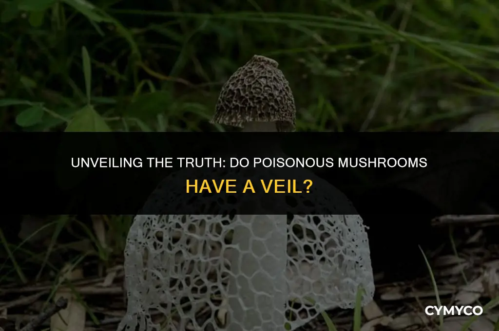 do poisonous mushrooms have a veil