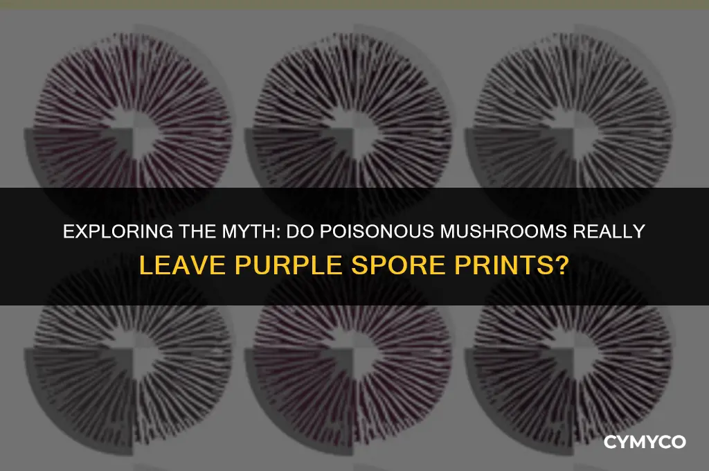 do poisonous mushrooms leave a purple spore print