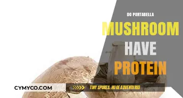 Protein Power: Unveiling the Nutritional Benefits of Portabella Mushrooms