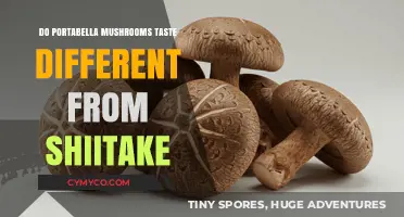 Exploring the Flavor Nuances: Portabella vs Shiitake Mushrooms