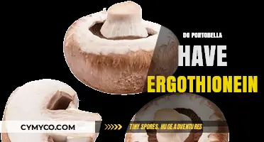 Exploring the Nutritional Benefits of Portobello Mushrooms: Ergothioneine Content Revealed