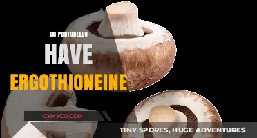 Exploring the Nutritional Benefits of Portobello Mushrooms: Ergothioneine Content Revealed