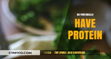 Protein Power: Unveiling the Nutritional Benefits of Portobello Mushrooms