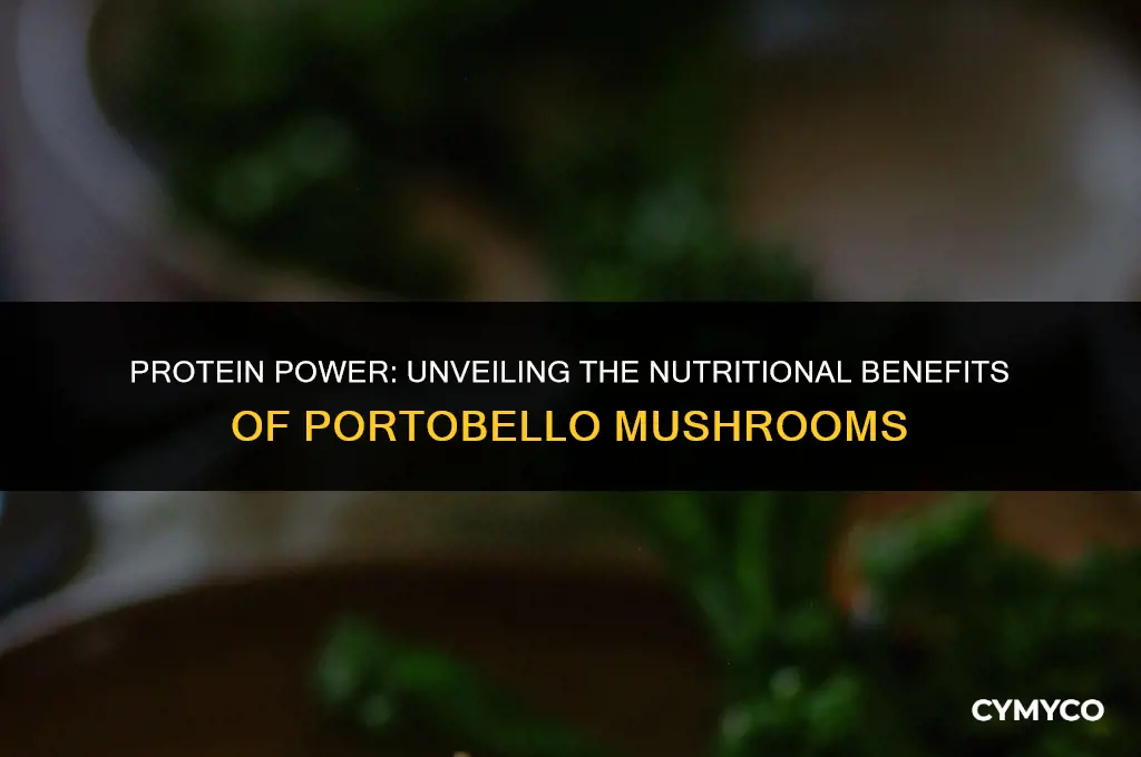 do portobello have protein