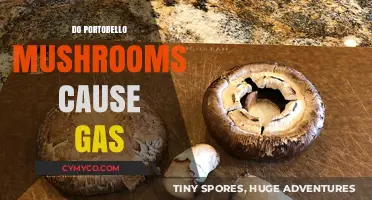 Exploring the Link Between Portobello Mushrooms and Digestive Gas
