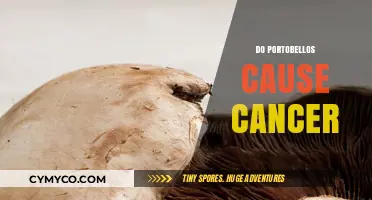 Exploring the Myth: Do Portobello Mushrooms Cause Cancer?