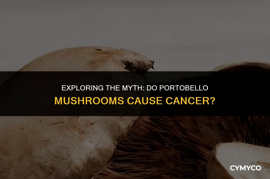 do portobellos cause cancer