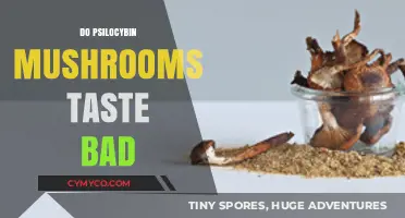 Exploring the Flavor Profile of Psilocybin Mushrooms: A Taste Test