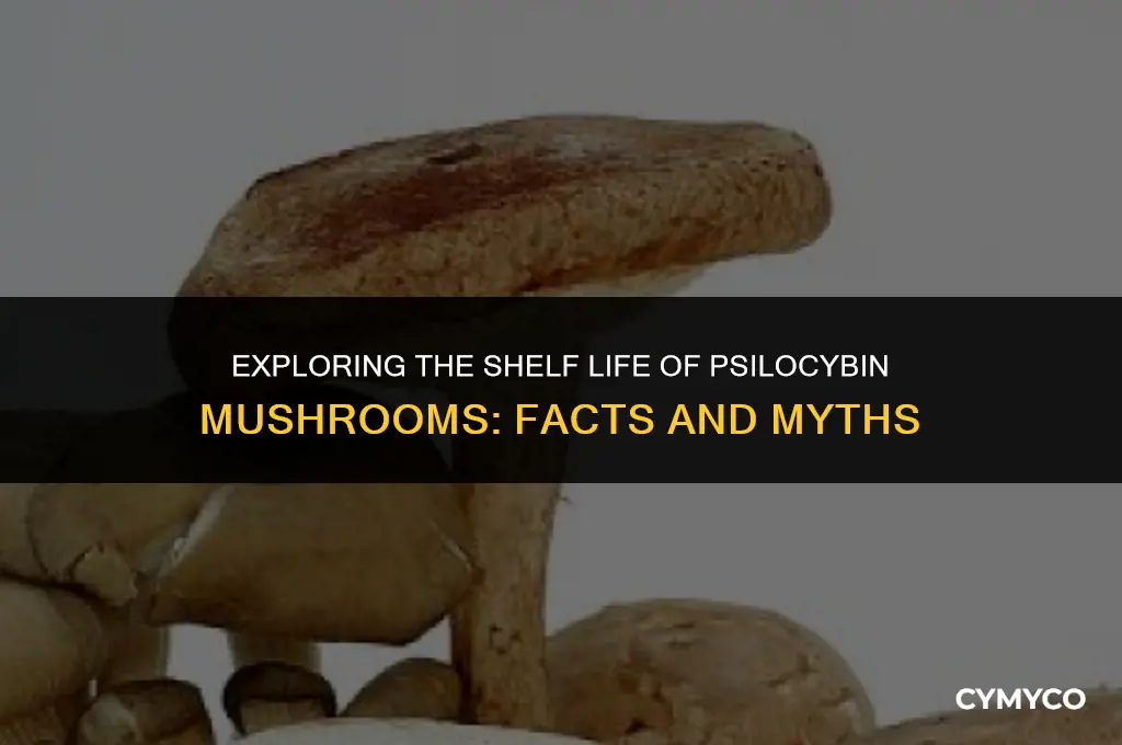 do psybocillan mushrooms go bad