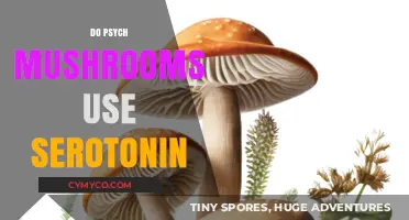 Exploring the Connection: Do Psychedelic Mushrooms Utilize Serotonin?
