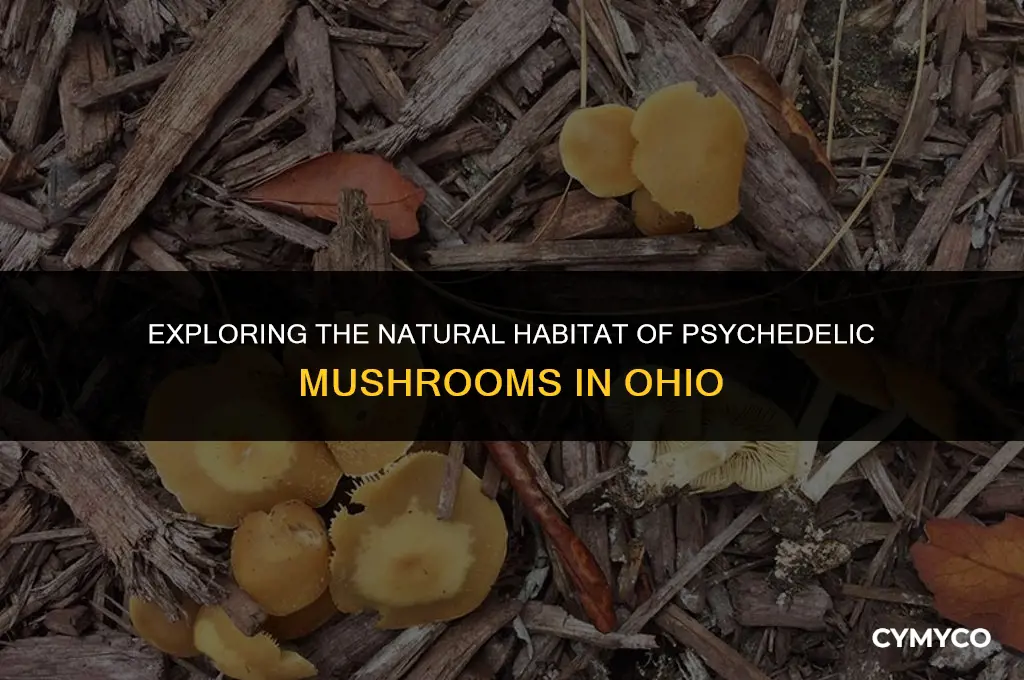 do psychedelic mushrooms grow in ohio