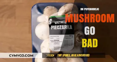 Exploring the Shelf Life of Psychedelic Mushrooms: Facts and Myths