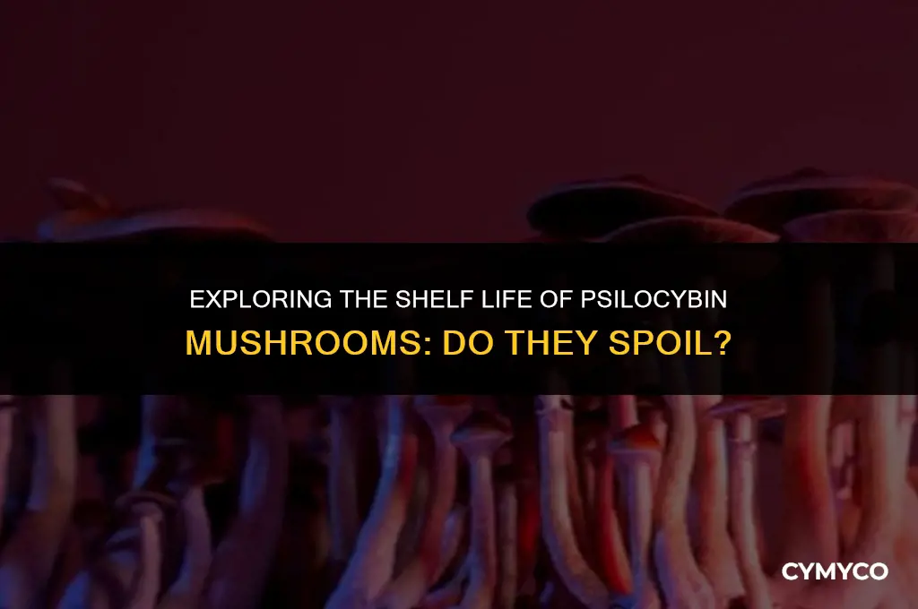 do psylliciubm mushrooms go bad