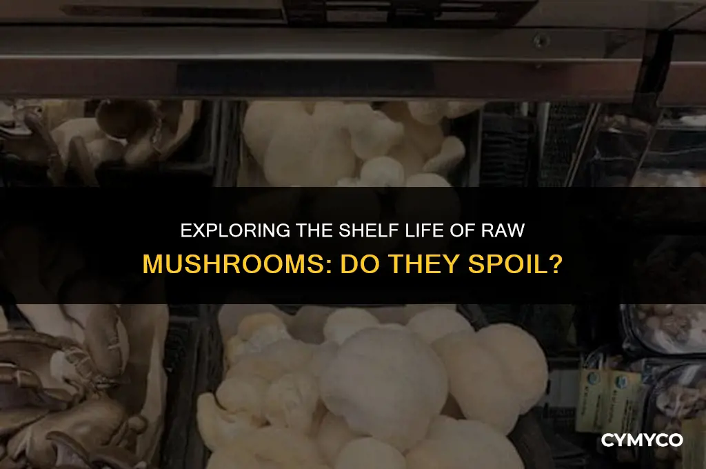 do raw mushrooms go bad