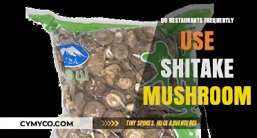 Exploring the Popularity of Shiitake Mushrooms in Restaurant Cuisine