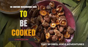 Exploring Shiitake Mushrooms: Raw or Cooked?