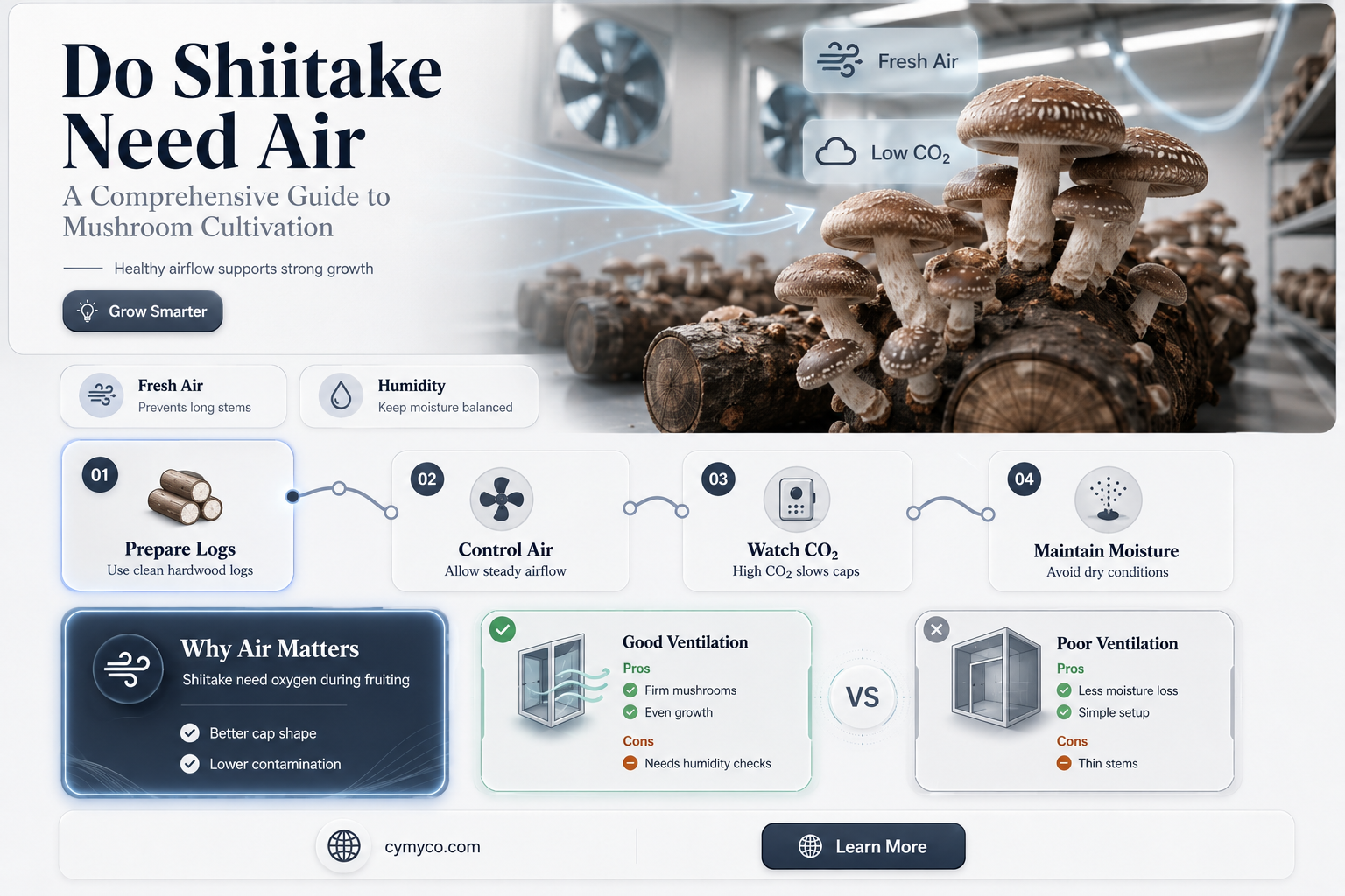 do shiitake need air