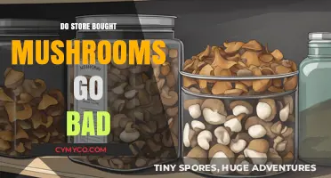 The Shelf Life of Store-Bought Mushrooms: A Comprehensive Guide