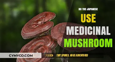 Exploring Japan's Ancient Secret: Medicinal Mushrooms in Traditional Healing