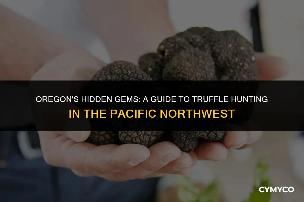 do truffles grow in oregon