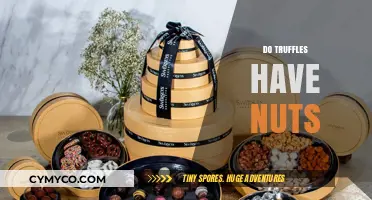 Decoding the Truffle Mystery: Nutty or Not?