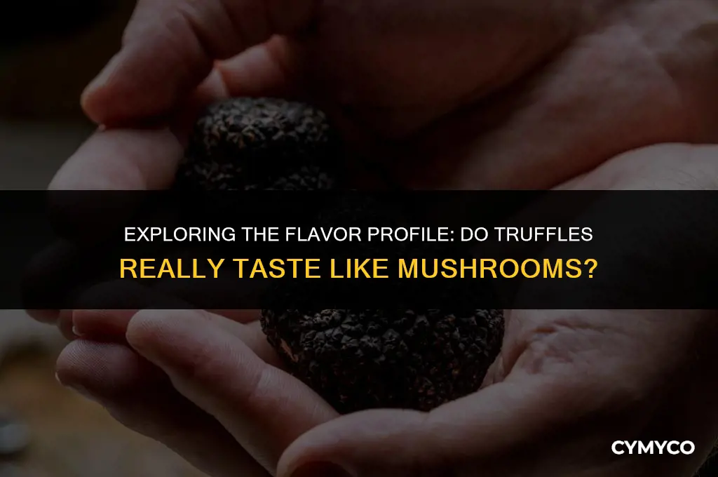 do truffles taste like mushrooms