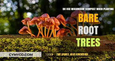 Nurturing Growth: The Benefits of Mushroom Compost for Bare Root Trees