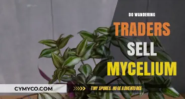 Exploring the Mycelium Market: What Wandering Traders Offer