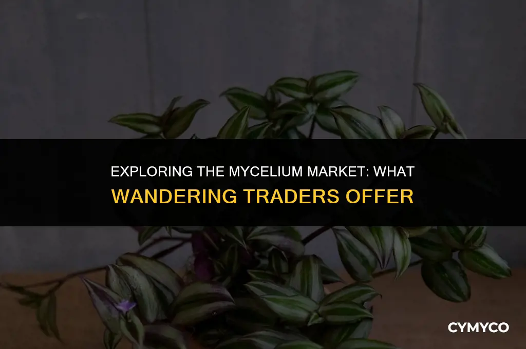 do wandering traders sell mycelium