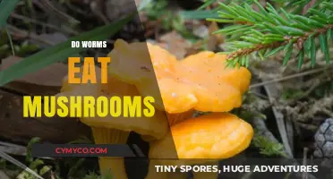 Do Worms Eat Mushrooms? Unveiling the Surprising Diet of Earthworms