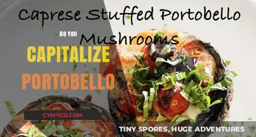 Do You Capitalize Portobello? A Grammar Guide for Food Enthusiasts