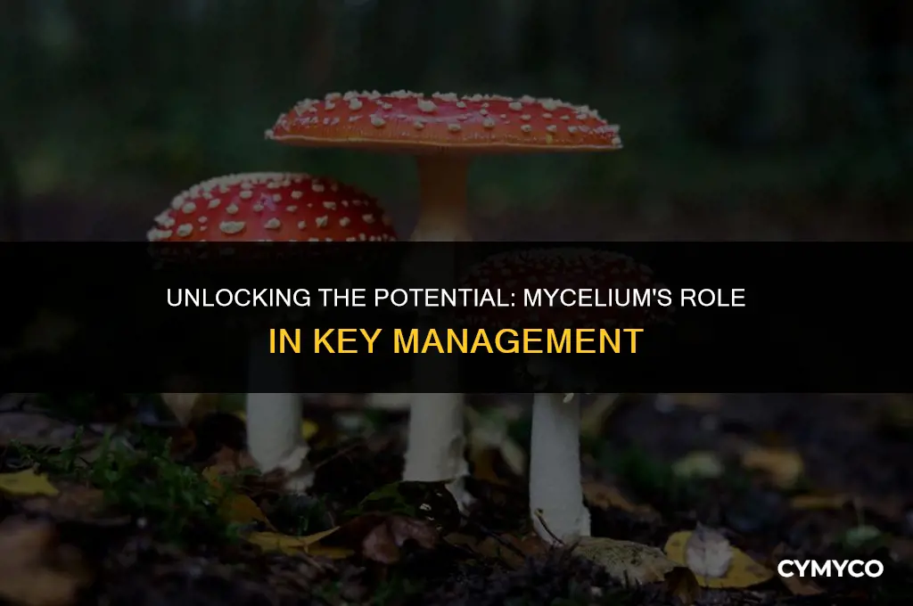 do you control keys with mycelium