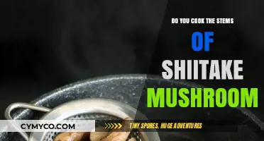 Exploring Shiitake Stems: A Culinary Journey Beyond the Cap