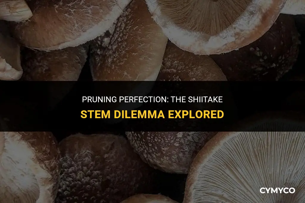 do you cut stems off shiitake