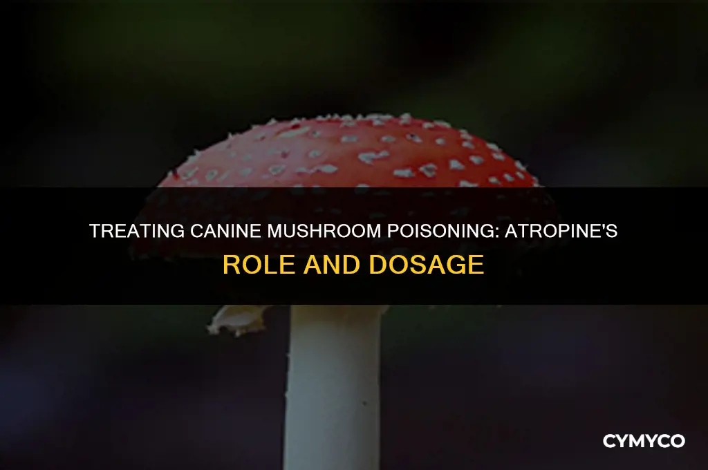 do you give dogs atropine for mushroom poisoning