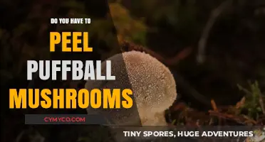 Unveiling the Truth: Peeling Puffball Mushrooms - A Culinary Myth?