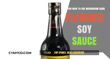 Umami Essentials: Mushroom Dark Soy Sauce Alternatives Explored