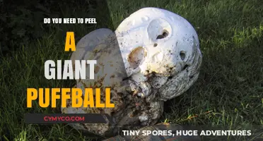 Unveiling the Mystery: Peeling the Giant Puffball - Yes or No?